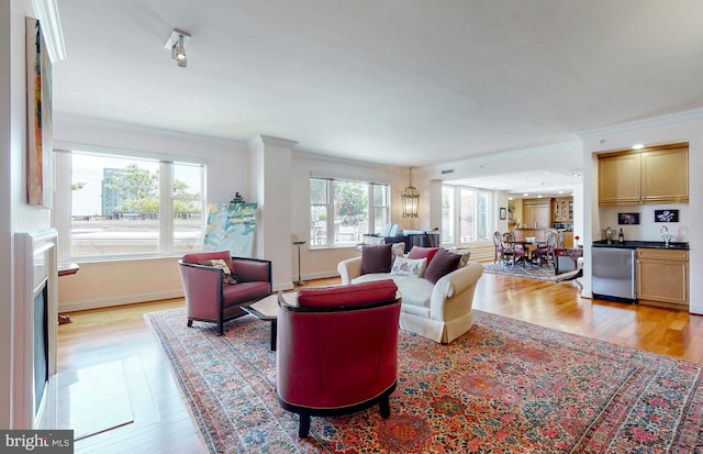 living room with ornamental molding, a healthy amount of sunlight, and light wood-type flooring