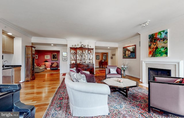 living room with track lighting, light hardwood / wood-style flooring, sink, and crown molding