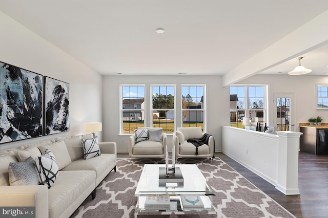 living room with dark wood-type flooring