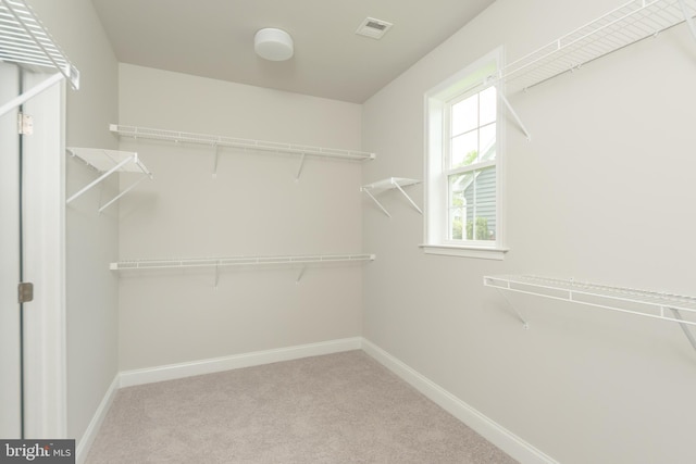 spacious closet with light carpet