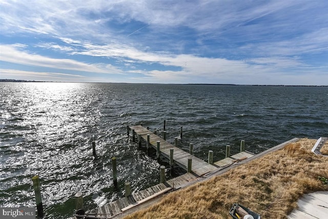 dock area with a water view