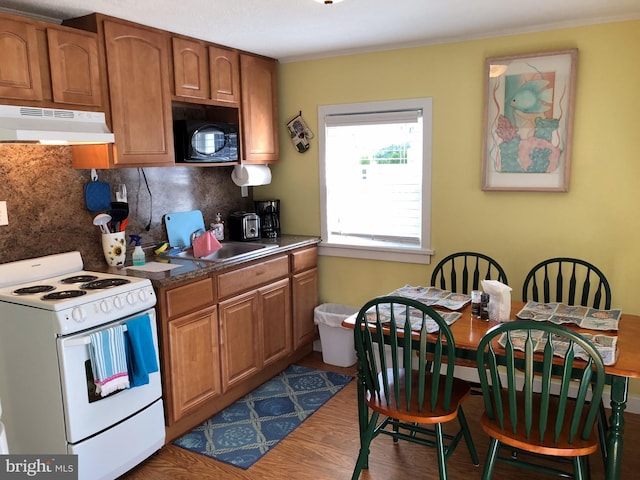 kitchen with backsplash, electric range, dark hardwood / wood-style floors, and sink