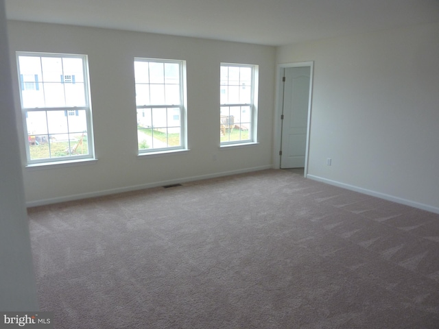 carpeted empty room with a wealth of natural light