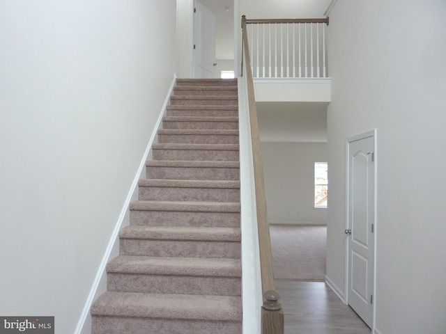 stairway with a towering ceiling and carpet floors