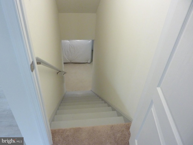 staircase featuring light colored carpet