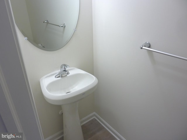 bathroom featuring wood-type flooring