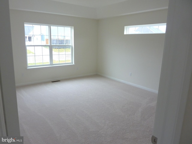 empty room featuring a wealth of natural light and carpet flooring