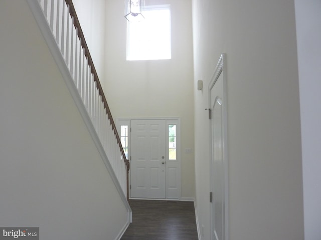 foyer entrance featuring dark hardwood / wood-style flooring and a towering ceiling