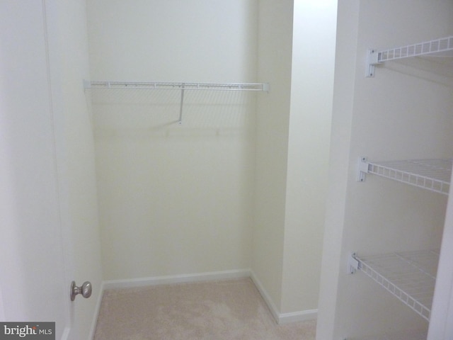 walk in closet featuring light carpet