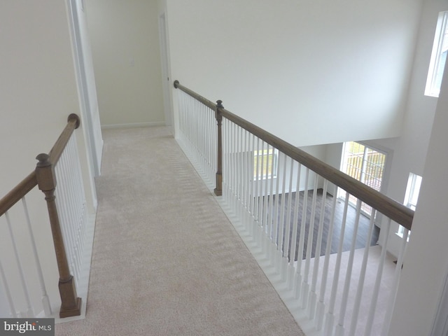 stairs with light colored carpet