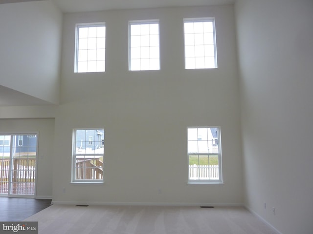 spare room featuring a healthy amount of sunlight and light colored carpet