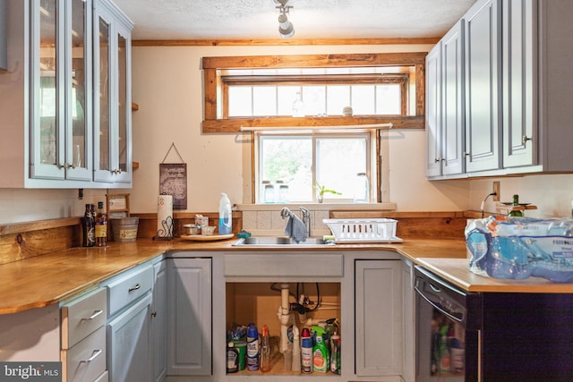 kitchen featuring sink, gray cabinetry, and a textured ceiling