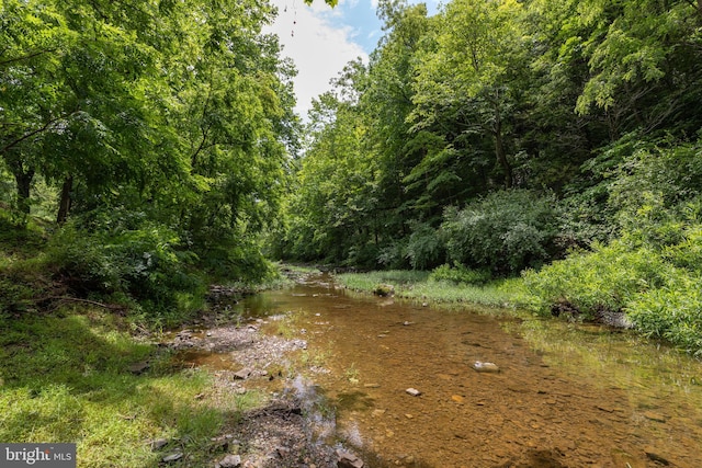 view of nature featuring a water view