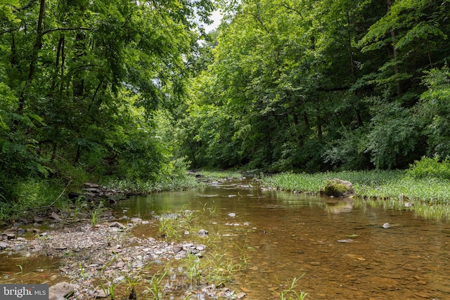 view of local wilderness featuring a water view