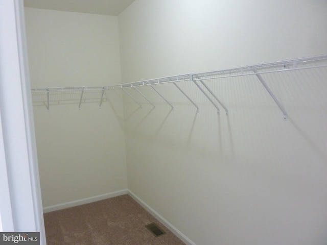 spacious closet featuring carpet flooring