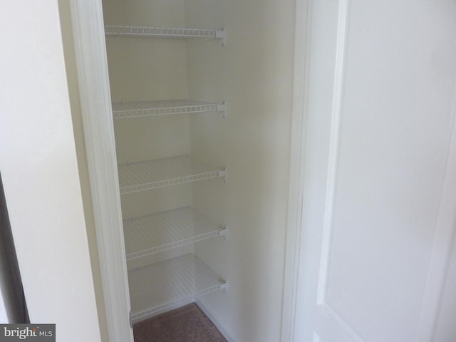 view of closet