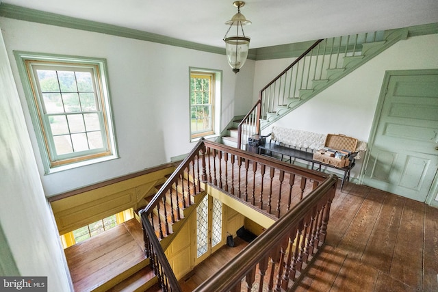 stairway with ornamental molding, a wealth of natural light, and dark hardwood / wood-style floors