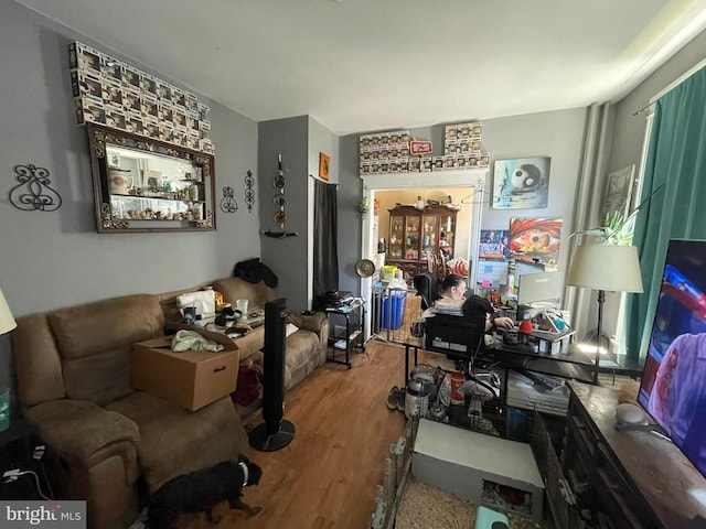 living room featuring wood-type flooring