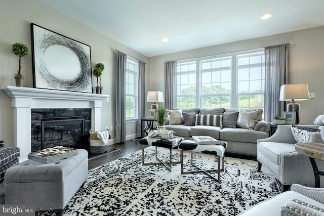 living room with dark hardwood / wood-style floors