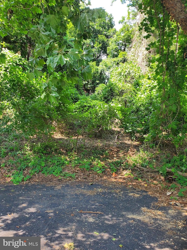 Ridgeway Cir, Arnold MD, 21012 land for sale