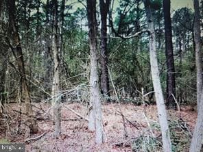 0 Swann Point Rd, Newburg MD, 20664 land for sale