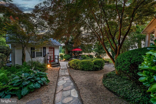 view of yard at dusk