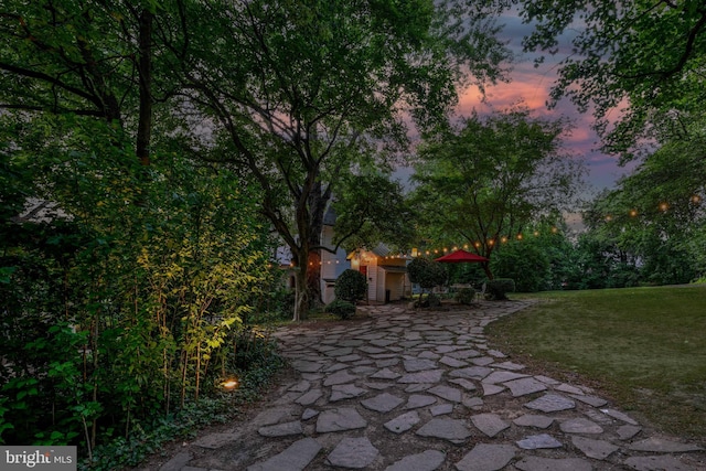 surrounding community featuring a lawn and a patio area