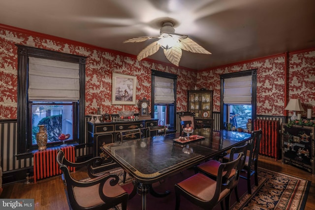 dining room featuring radiator heating unit, ceiling fan, and dark wood-type flooring