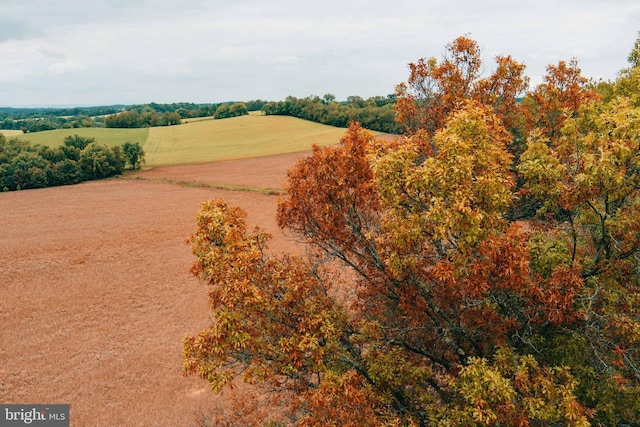 birds eye view of property featuring a rural view