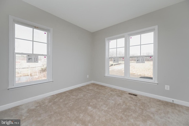 empty room featuring a wealth of natural light and light carpet