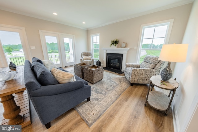 living room featuring light wood-type flooring and crown molding