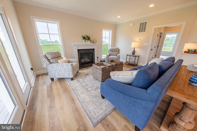 living room featuring light wood-type flooring and crown molding