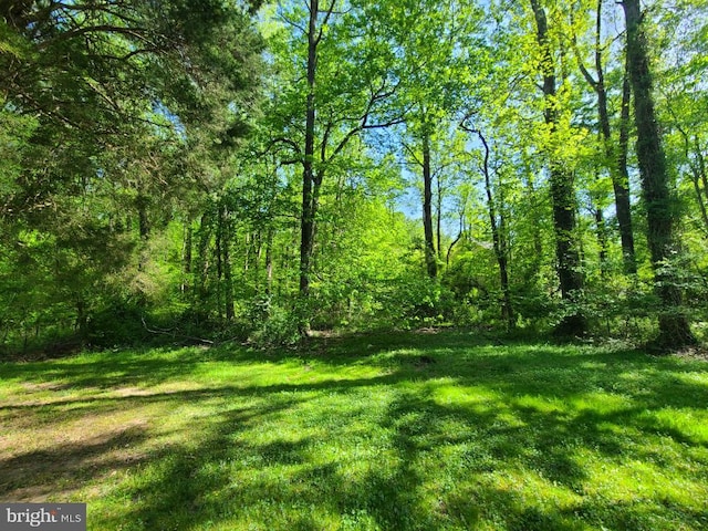 Honeysuckle Trl, Lorton VA, 22079 land for sale