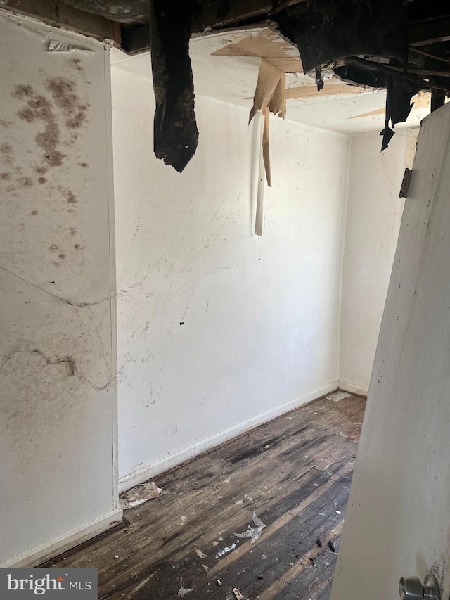 basement featuring dark hardwood / wood-style flooring