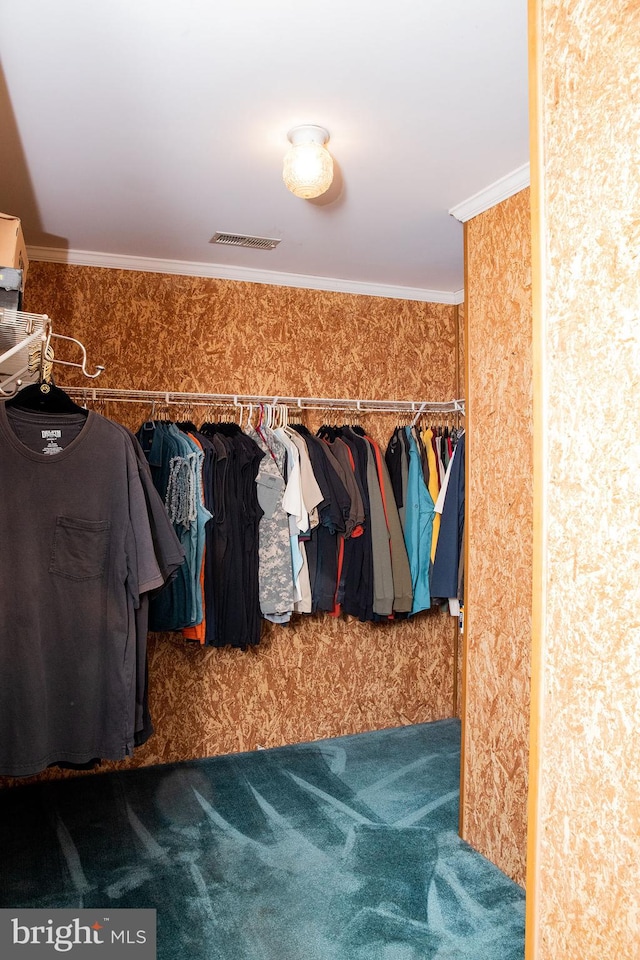 spacious closet featuring dark colored carpet