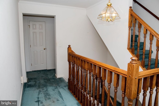 hallway with an inviting chandelier, ornamental molding, and dark carpet