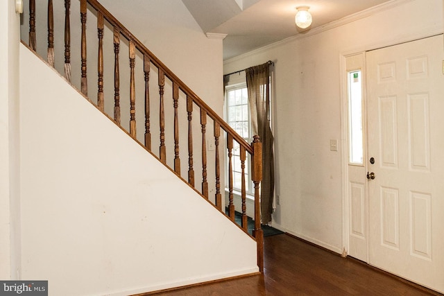 entryway with dark hardwood / wood-style flooring and crown molding