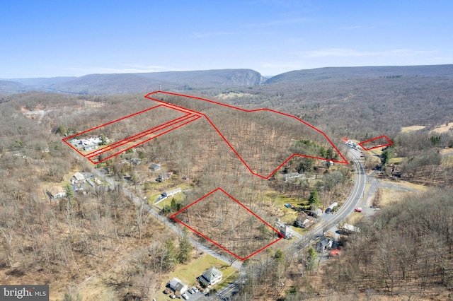 3154 Godfrey Ridge Dr, Stroudsburg PA, 18360 land for sale