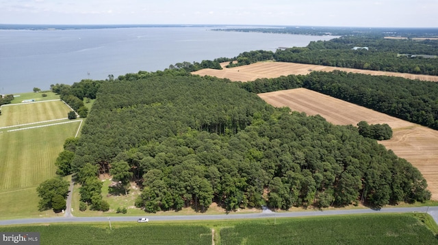 Horns Point Rd, Cambridge MD, 21613 land for sale