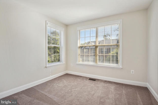 carpeted empty room with a healthy amount of sunlight