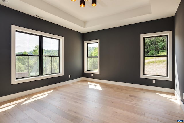 spare room featuring a tray ceiling and light wood-type flooring