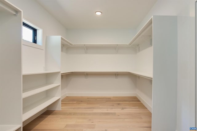 spacious closet featuring light hardwood / wood-style flooring