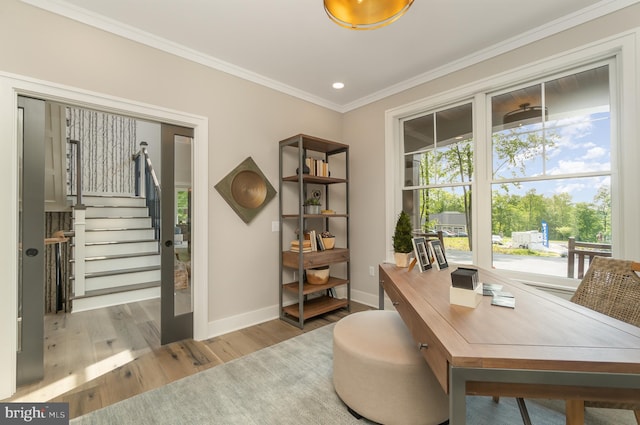 office area with hardwood / wood-style floors and crown molding