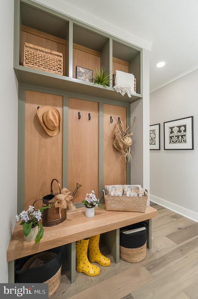 mudroom featuring light wood-type flooring