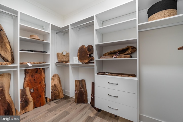 walk in closet with light hardwood / wood-style flooring