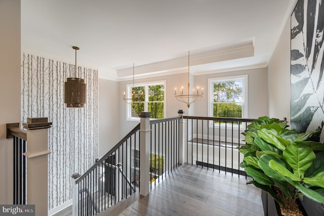 hall featuring a chandelier, light hardwood / wood-style floors, a raised ceiling, and ornamental molding