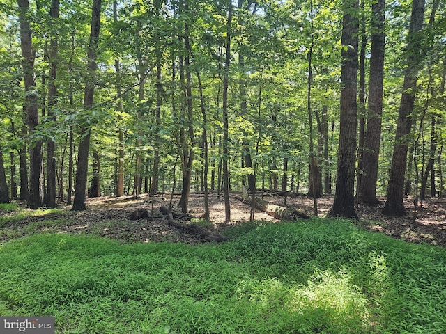 Dogwood Ln, Bluemont VA, 20135 land for sale