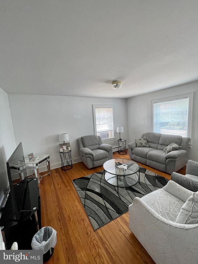 living room with wood-type flooring