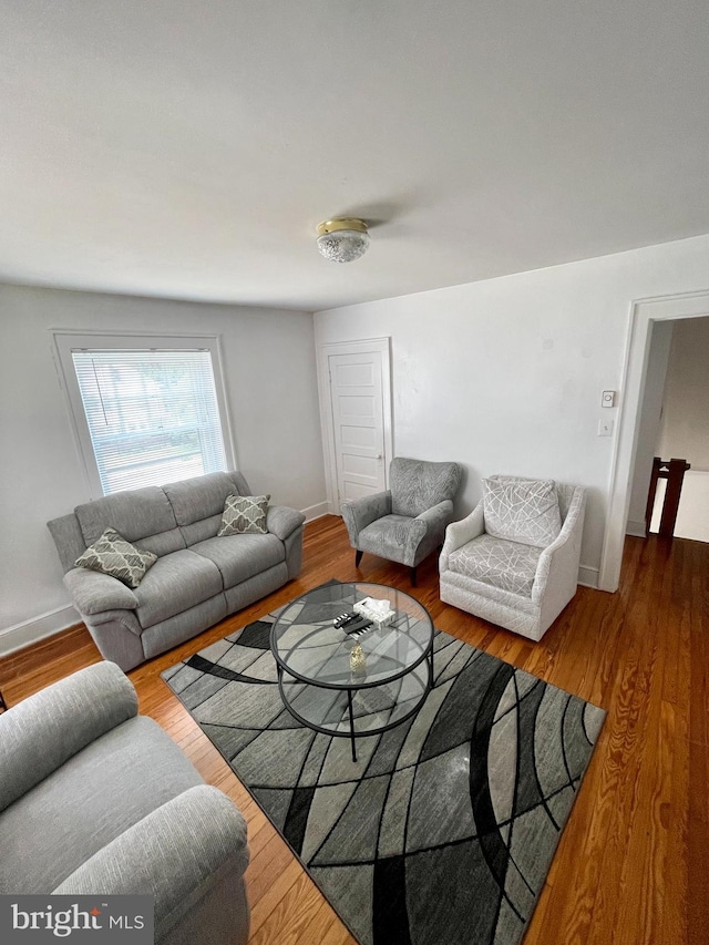 living room featuring wood-type flooring