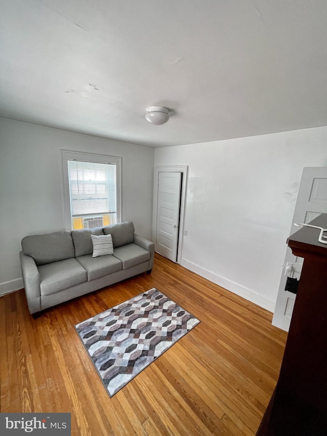 living room with light hardwood / wood-style flooring